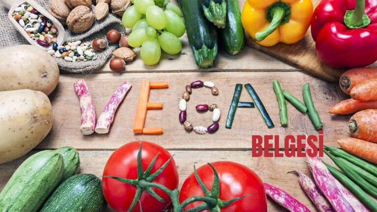 Vegan Sertifikası İçin Gereken Belgelendirme Süreçleri